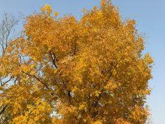 -盘龙城国家考古遗址公园