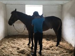 -松声马术俱乐部