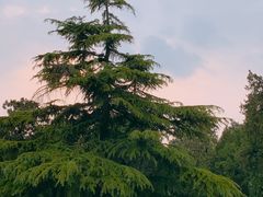 -北京市劳动人民文化宫(太庙)