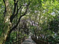 -杭州半山国家森林公园