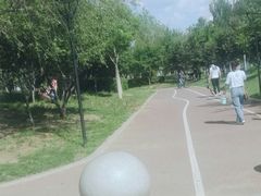 -丁香湖公园