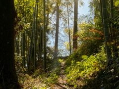 -莫干山风景区