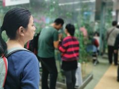 -北京大学肿瘤医院