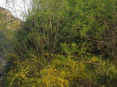 -山西通天峡景区