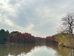 -苏州太湖国家湿地公园