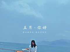 -玫瑰小镇