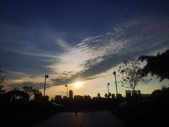 -野狸岛