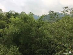 -陶祖圣境风景区