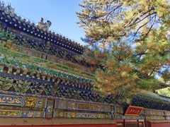 -潭柘寺景区