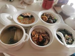 -生命加•Q考拉月子会所(玫瑰园店)