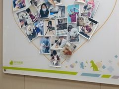 -瑞鹏宠物医院·骨外科·心肾科·肿瘤科(九亭店)