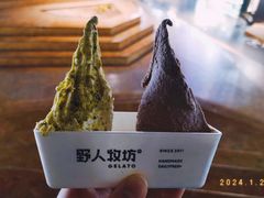 -野人牧坊Gelato(天津南开大悦城店)