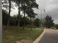 -深圳湾公园(南山区)