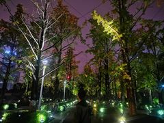 -百林公园-两江幸福广场