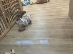 -万达广场(长沙开福店)