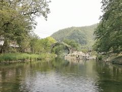 -鹿亭中村