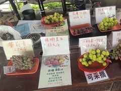 -马陆小张葡萄园农家乐