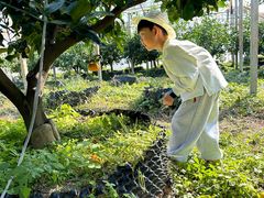 -前小桔亲子创意农场·草莓采摘·露营烧烤