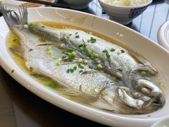 清蒸白水鱼-品渔味湖鲜馆(拈花湾店)