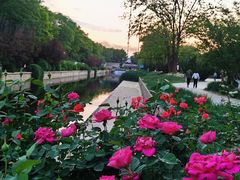 -元大都城垣遗址公园