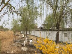 -水西公园