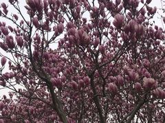 -白塘生态植物园