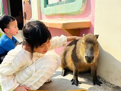 -盈香心动乐园