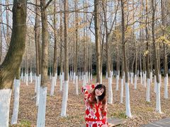 -艾溪湖湿地公园