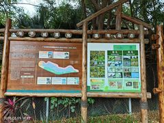 -华侨城湿地公园