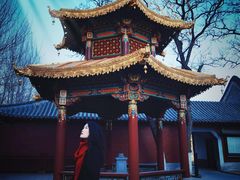 -护国法轮寺