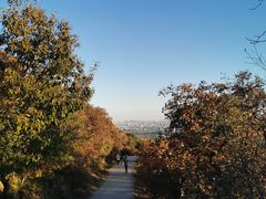 -北京西山国家森林公园