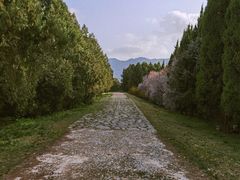 -秦始皇帝陵博物院-丽山园