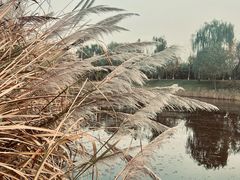 -白鹭湾湿地公园