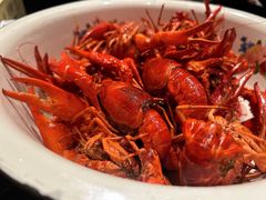 油爆虾-长沙文和友(海信广场店)