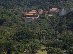 -深圳仙湖植物园