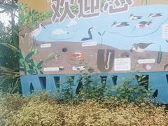 -福田红树林生态公园