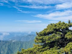 -黄山光明顶山庄
