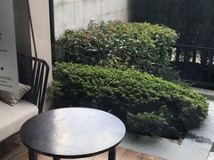 -上海崇明金茂凯悦酒店