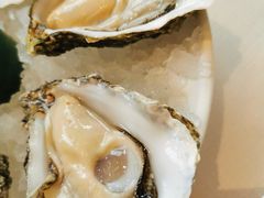 -Oyster Talks 四度蚝法餐厅