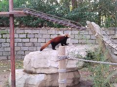 -上海野生动物园