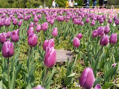 -长春公园(普阳街道)