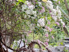 -深圳国际园林花卉博览园