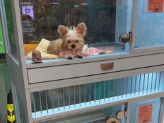 -FAELING PETS美天灵宠物(合生汇店)