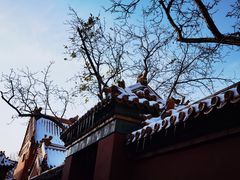 -故宫博物院(故宫)