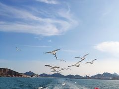 -海驴岛(荣成市)