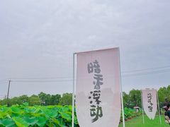 -嘉北郊野公园