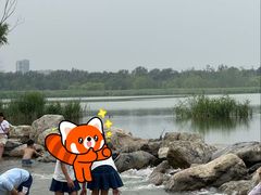 -绿堤公园