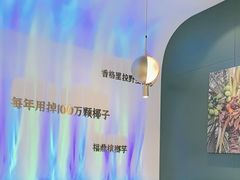 -烹然四季椰子鸡火锅(姚家园万象汇店)