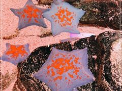 -沈阳海洋探索中心