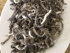 -宋记爆肚(酒仙桥店)